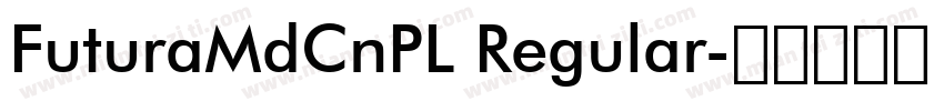 FuturaMdCnPL Regular字体转换